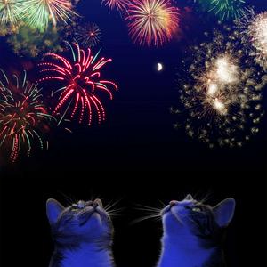 Pet Classics