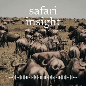 Safari Insight