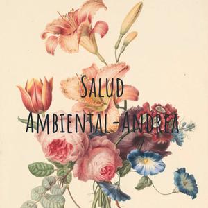 Salud Ambiental-Andrea