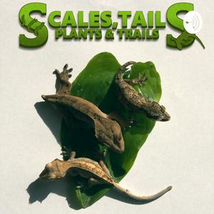 Listen to Scales, tails, plants and trails in the App