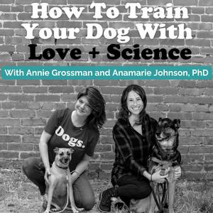 Listen to How To Train Your Dog With Love + Science - Dog Training with Annie Grossman + Anamarie Johnson PhD in the App