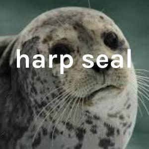 seal time
