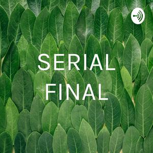 SERIAL FINAL