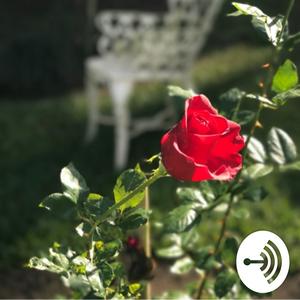 Listen to Slow Dance Sundays with R&B in the App