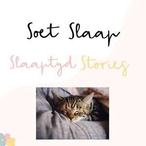 Listen to Soet Slaap Slaaptyd Stories in the App