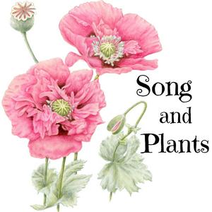 Listen to Song and Plants in the App