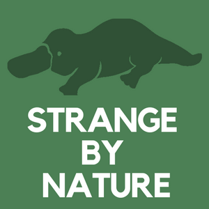 Listen to Strange by Nature Podcast in the App