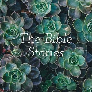 The Bible Stories