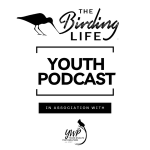 Listen to The Birding Life Youth Podcast in the App