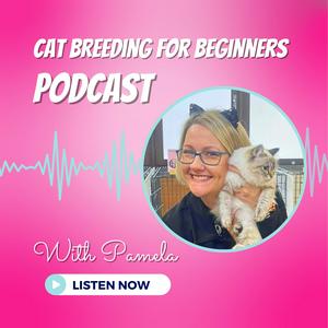 Listen to The Cat Breeding For Beginners Podcast in the App