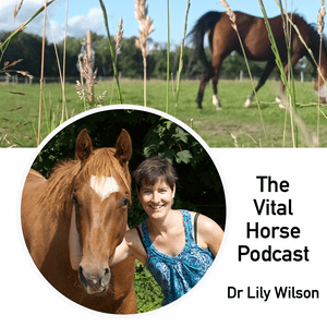 Listen to The Vital Horse Podcast in the App