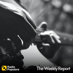 The Weekly Report