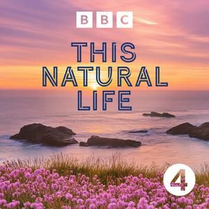 Listen to This Natural Life in the App