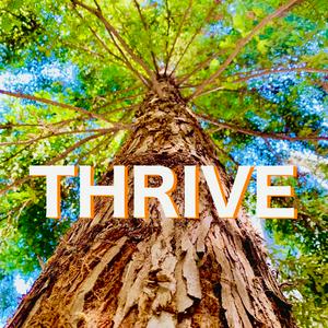 Thrive Bible Study Class