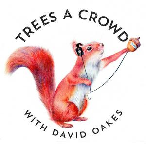 Listen to Trees A Crowd in the App