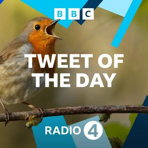 Listen to Tweet of the Day in the App