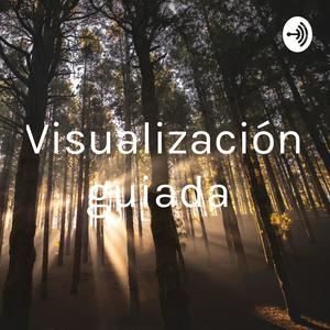 Visualización guiada
