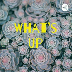 What's Up